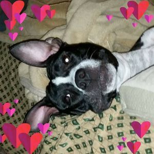 Meet your Posher, Lynn